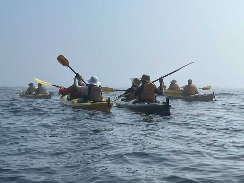 kayakers paddling into fog
