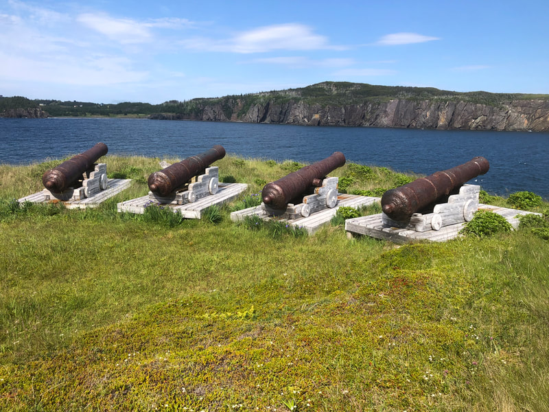 Cannons sitting grass overlooking water.