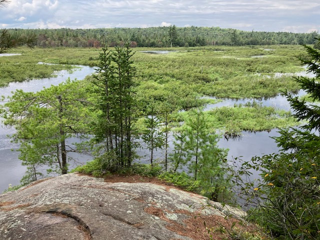The view from High Rock overlooking the Oswegatchie River