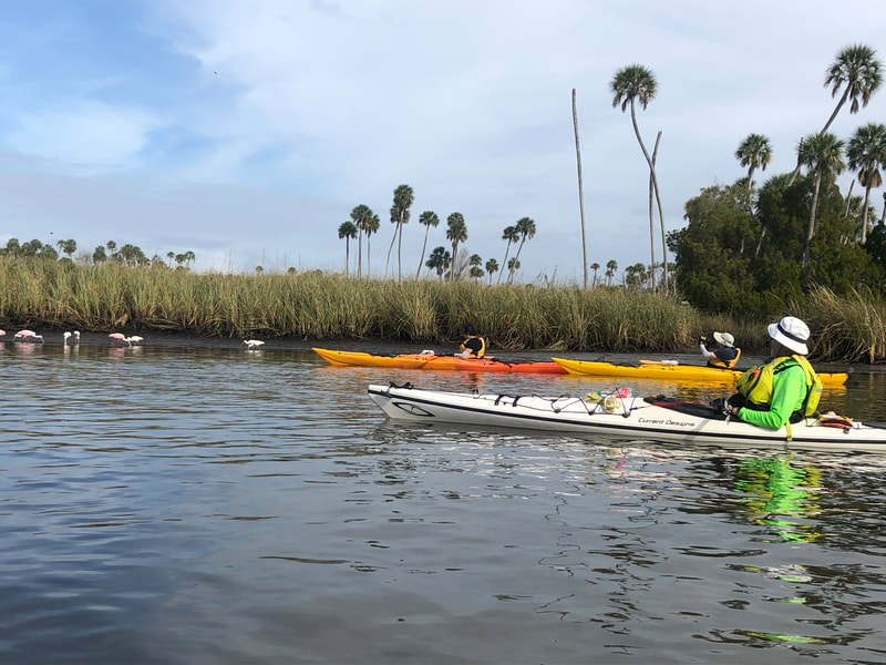 Kayakers with Roseate Spoonbills