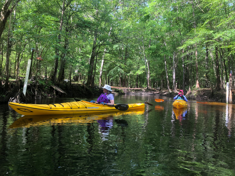 custom kayak trips in Florida